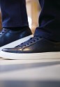 Hixon Trainer